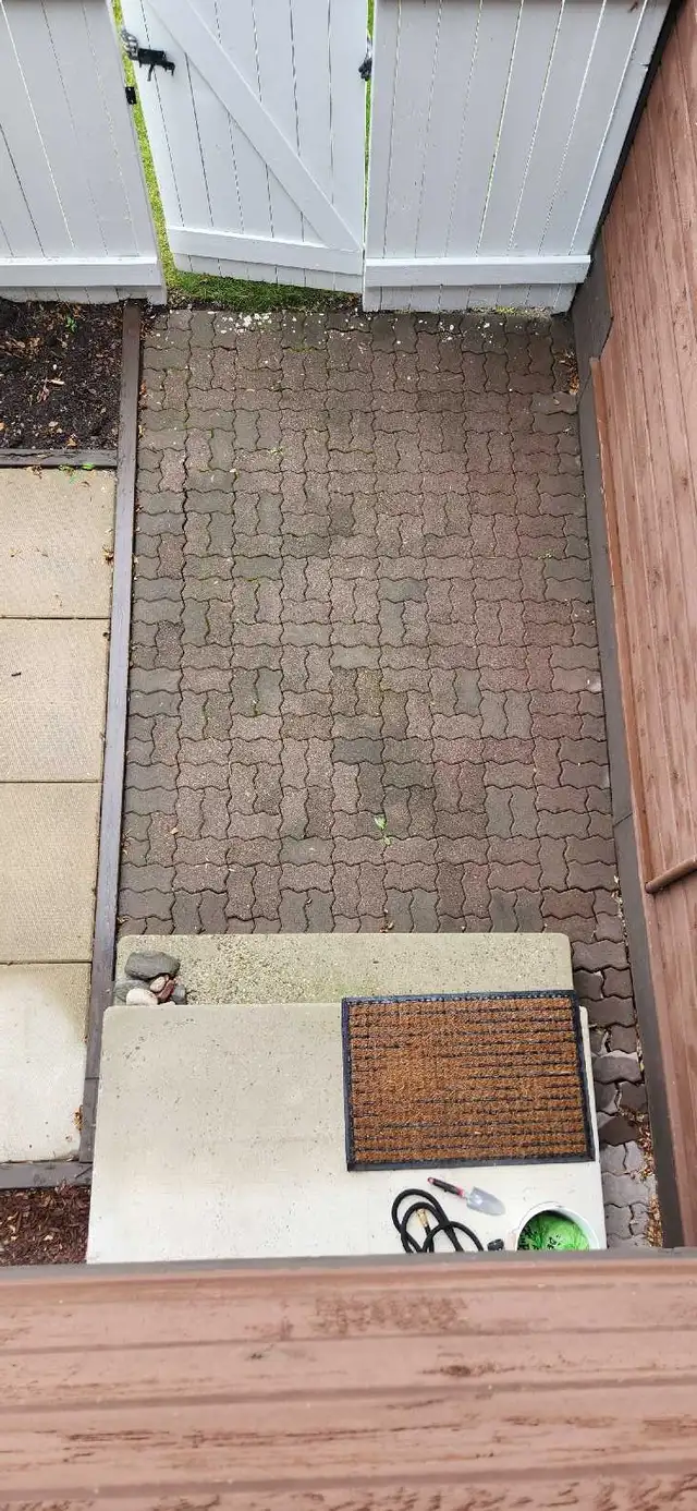 Free paving stones