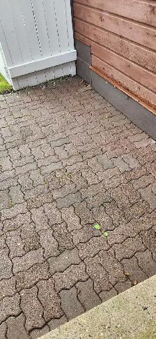 Free paving stones - Photo 2