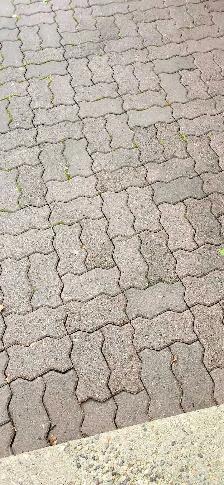 Free paving stones - Photo 3