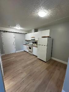 One Bedroom September in Minnow Lake - Photo 2