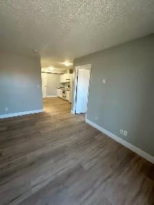 One Bedroom September in Minnow Lake - Photo 4