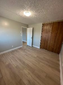 One Bedroom September in Minnow Lake - Photo 6