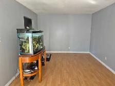 3 BEDROOM HOUSE ( UPPER LEVEL ) - Photo 7