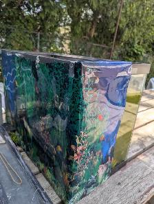 Used Fish Tank, Guppies and Water Lily - Photo 5