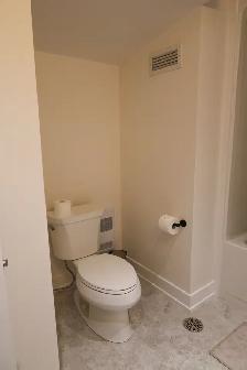 Luxury Rental Suite - 12 Batavia in the heart of Toronto - Photo 9