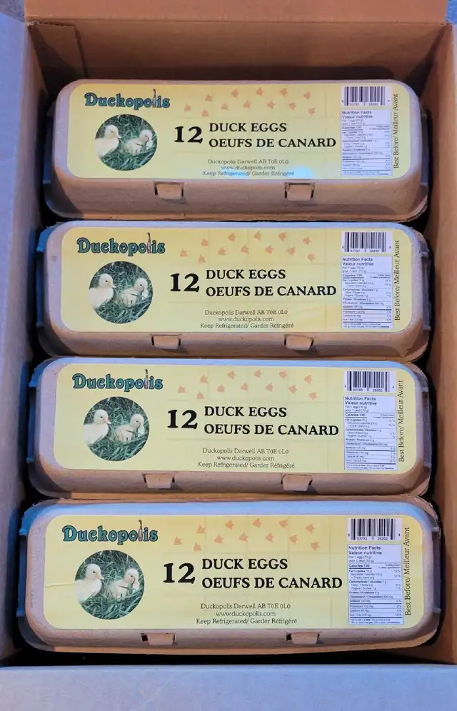 Duck Eggs For Sale!