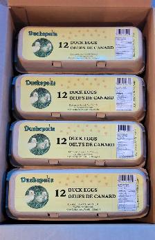 Duck Eggs For Sale!