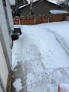 winter service - Photo 4