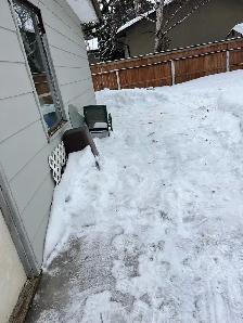 winter service - Photo 5