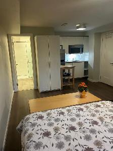 Fully Furnished Studio Apartment 300 sf - Photo 2