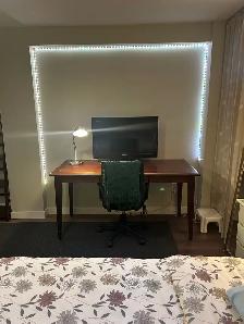 Fully Furnished Studio Apartment 300 sf - Photo 3