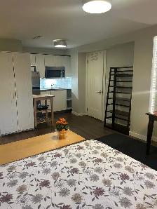 Fully Furnished Studio Apartment 300 sf - Photo 4