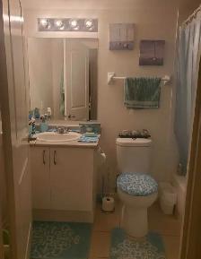 Hiring FEMALE Hairstylist  / Aesthetician - Photo 3