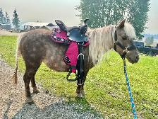 Mini Mare - Photo 4