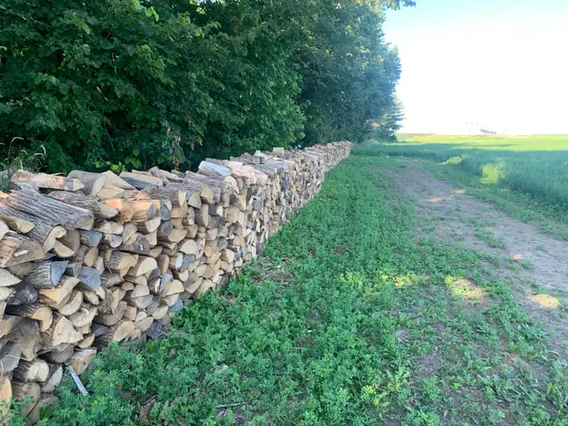 Dry Seasoned Ash Firewood