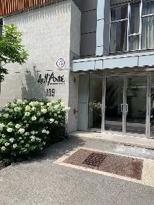 Entretien ménager de copropriétés, espaces communs - Photo 2