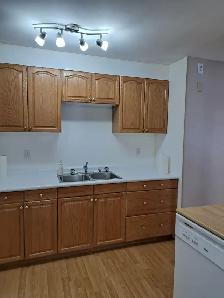 Perfect for Students or Families! 2‑Bed Main Floor – Allendale - Photo 10