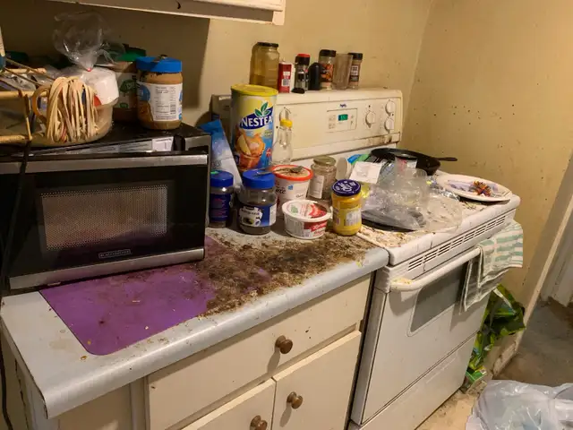 professional cleaning