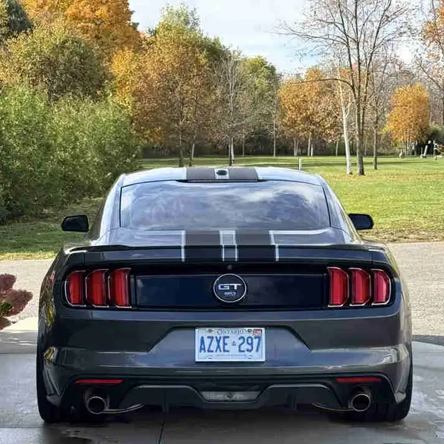 2015 Ford Mustang GT 50th Anniversary | 5.0 V8