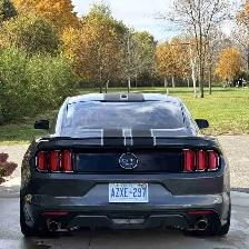 2015 Ford Mustang GT 50th Anniversary | 5.0 V8