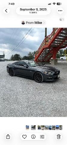 2015 Ford Mustang GT 50th Anniversary | 5.0 V8 - Photo 2