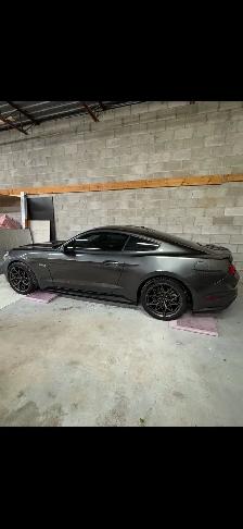 2015 Ford Mustang GT 50th Anniversary | 5.0 V8 - Photo 3