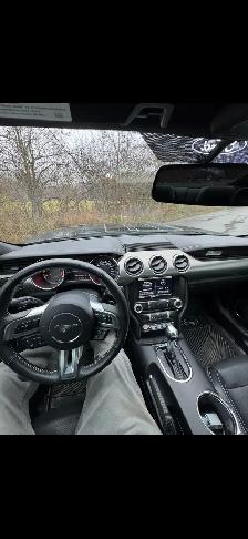 2015 Ford Mustang GT 50th Anniversary | 5.0 V8 - Photo 5