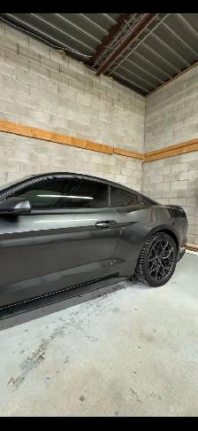 2015 Ford Mustang GT 50th Anniversary | 5.0 V8 - Photo 7