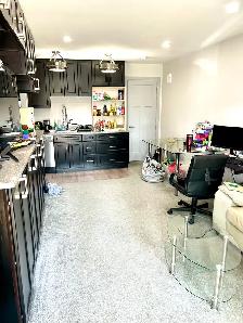Female Luxury U of S student 1 Bed Apartment $875 - Photo 4