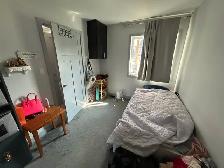 Female Luxury U of S student 1 Bed Apartment $875 - Photo 13
