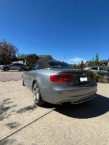 Audi S5 Cabriolet - Photo 3