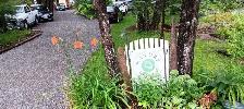 House with Health Center for Rent - Photo 2