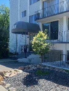 One bedroom apartment for rent
