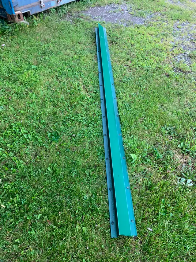 Snow guard