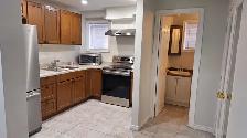 Walkout Basement for Rent