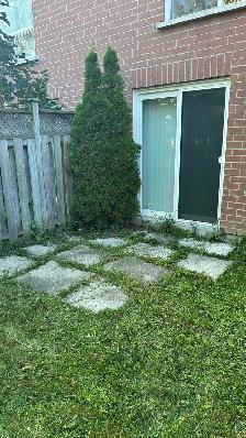 FREE PAVERS/INTERLOCK STONES - Photo 2