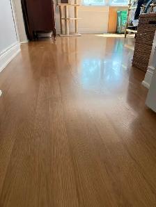 Cleaning - Photo 2