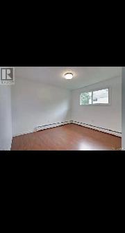 Looking for a roommate for September 1st - Photo 2