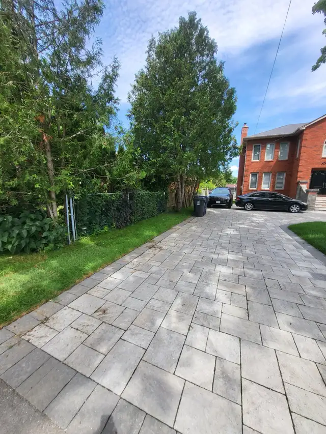 1 BR walkout basement apartment in Scarborough