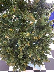Christmas Tree 7.5' - Photo 5
