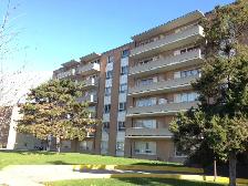 1 Bedroom Apartment For Rent - 875 Kennedy Road - Photo 2