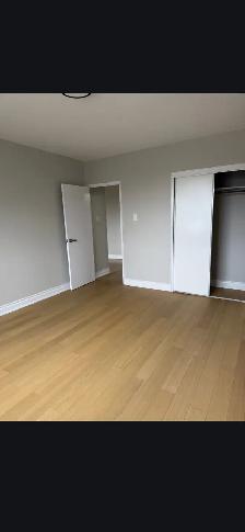 1 Bedroom Apartment For Rent - 875 Kennedy Road - Photo 3