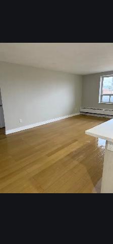 1 Bedroom Apartment For Rent - 875 Kennedy Road - Photo 4