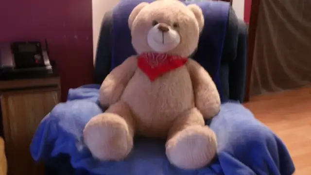 Gros ours en peluche, servait de décoration sur un lit