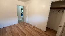 Room for Rent in Waterloo for male student - Photo 4