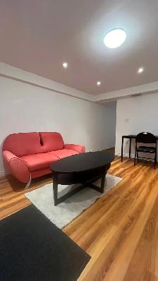 2B/2b renovated basement Apt downtown Toronto all included - Photo 4
