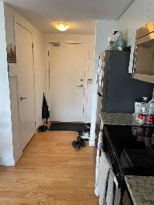 1 bedroom in Downtown Toronto Condo Unit - Photo 8