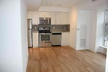1 bedroom in Downtown Toronto Condo Unit - Photo 9
