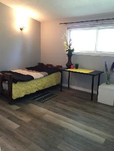 ~UA area/2min To Southage mall LRT toUA Compus Nait/MacEwan/DT - Photo 3