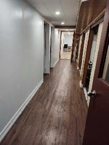 A nice two bedrooms basement Apt downtown Toronto all inclusive